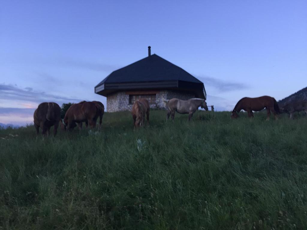 Cal Pedrals Pairal Konuk evi Urus Dış mekan fotoğraf